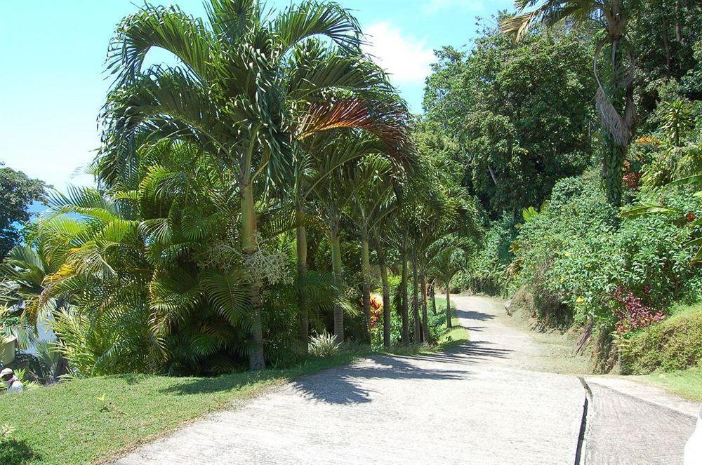 Sailfish Beach Villas Anse a La Mouche Exteriér fotografie